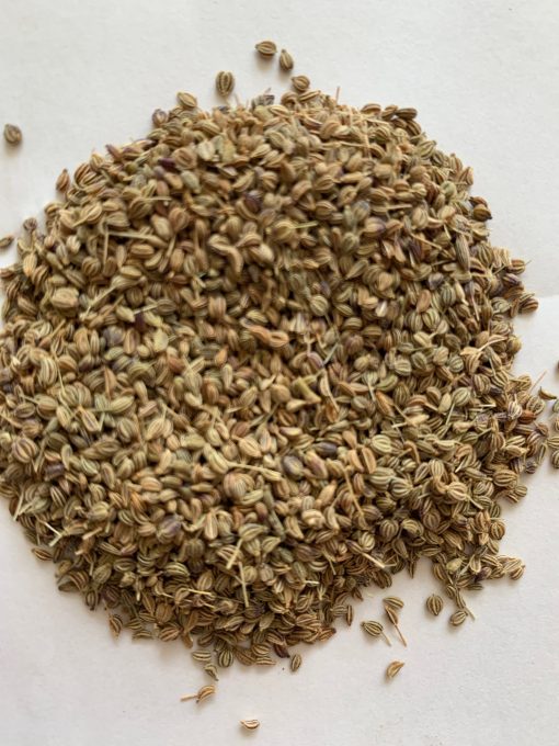 Ajwain dried seeds